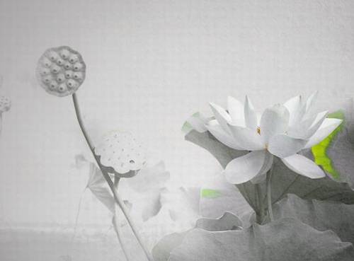 莆田九鲤湖导游词