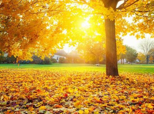 龙海公园导游词作文