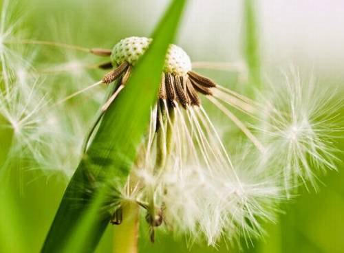 延安英文导游词