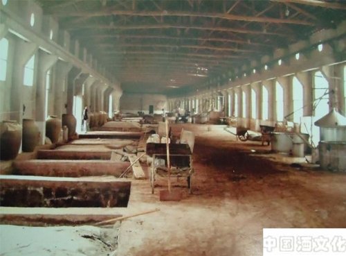 白酒酿造知识之菌种复壮_调制酿造