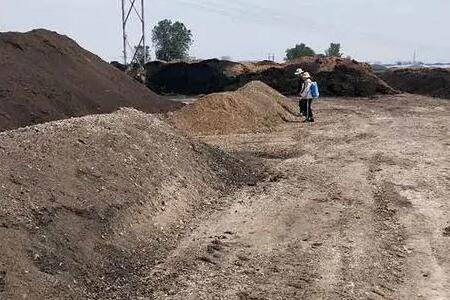鸡粪肥适合给哪些植物施肥_养鸡