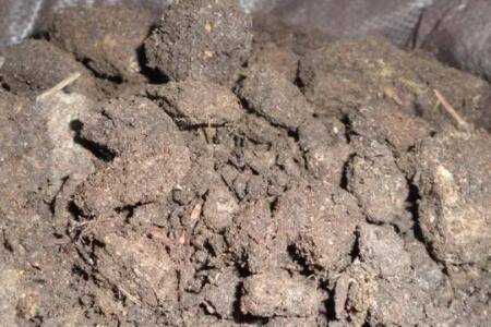 鸡粪的主要成分有哪些_养鸡