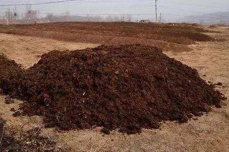 干鸡粪怎么发酵最快_养鸡