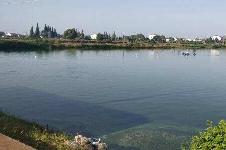 农村鱼塘鱼缺氧怎么办_养鱼