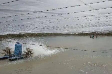 养虾对水质有什么要求_养虾