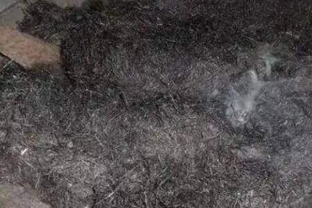 草木灰怎么正确使用,做底肥与追肥时有什么区别_农药肥料