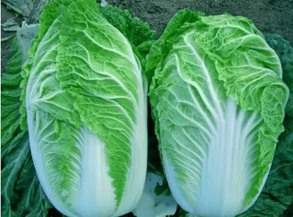 ײƷЩݴײ˺̩ײ˸ǧ_ֲ߲