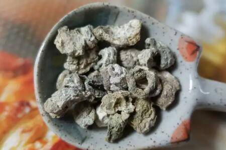 鸽子屎能不能当花肥使用_农药肥料