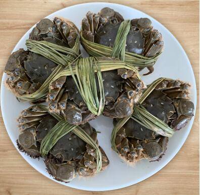 蟹塘水白浑什么原因_养蟹