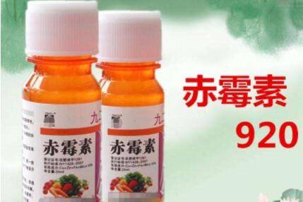 1克赤霉酸兑多少千克水_瓜果种植