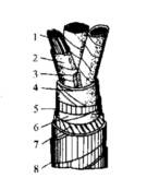 ���õ��ߵ����ͺŴ��ź���˵��