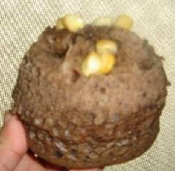 ΢��¯����