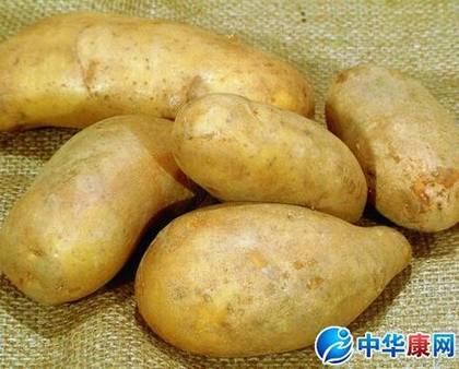 马铃薯