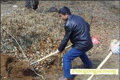 梦见使用铁锹掘土