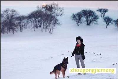 梦见在积雪的森林中漫步