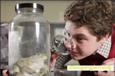 梦见观察别人 被观察