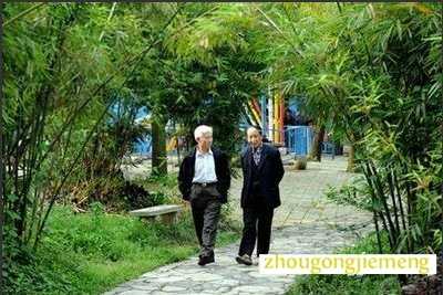 梦见竹林中漫步